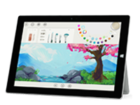 立山Surface 无法开启、Windows 无法启动或电池无法充电