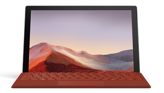立山清洁和维护 Surface